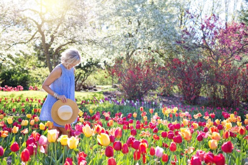 Woman walking on a bed of tulips