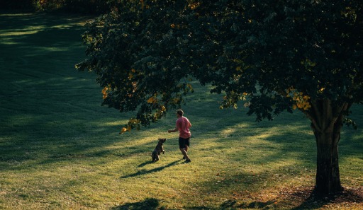 A man playing with his dog