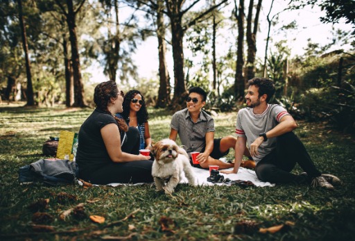 Group of people sitting on a grass field