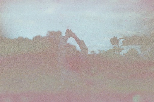 person's shadow dancing in field