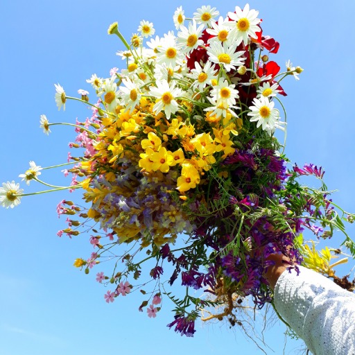 a bouquet of colorful flowers